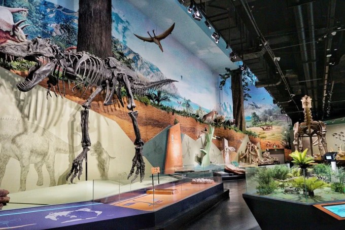 探秘地球心臟 柳州洞穴博物館，親子研學與自然科學的完美交融