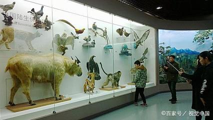 最強(qiáng)參觀攻略 帶萌娃探索北京自然博物館前，先了解這些自然科學(xué)知識(shí)